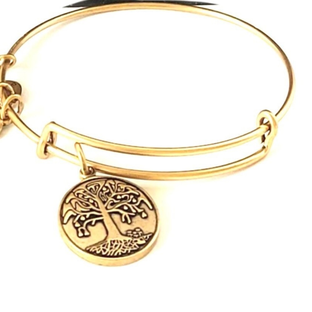 Alex and Ani Tree of Life charm bracelet